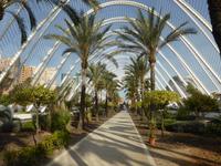 Valencia - Ciudad de las Artes y las Ciencias