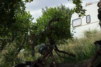 Besuch der Zitrusplantage 