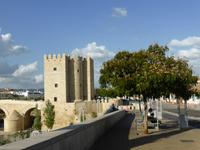 Die Puente Romano in Cordoba