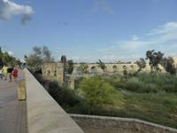 Die Puente Romano in Cordoba