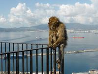 Gibraltar