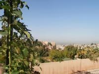 Blick von der Alhambra in Granada