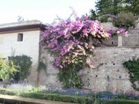 Alhambra Granada-Generalife