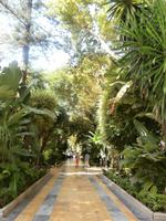 Marbellas Grüne Oasen