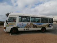 Gibraltar-Rundfahrt mit Minibussen