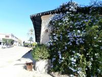 Bodega Tio Pepe in Jerez de la Frontera