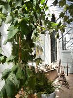 Bodega Tio Pepe in Jerez de la Frontera