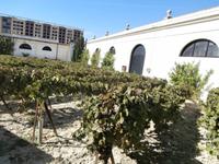 Bodega Tio Pepe in Jerez de la Frontera
