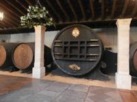 Bodega Tio Pepe in Jerez de la Frontera