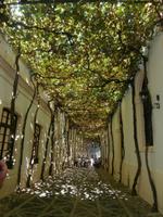 Bodega Tio Pepe in Jerez de la Frontera