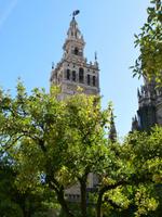 Sevilla-Giralda