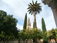 Cordoba-Mezquita