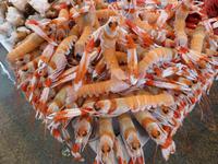 062-Cadiz-Mercado_Central