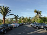 122-Cordoba-Hotel_Los_Adelfas