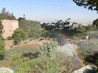 Gärten der Generalife in Granada