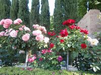 Gärten der Generalife in Granada