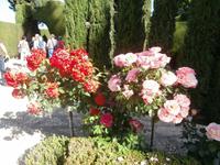 Gärten der Generalife in Granada