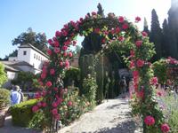 Alhambra-Gärten der Generalife in Granada