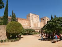 Alhambra-Granada