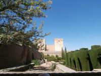 Alhambra-Granada