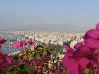 Blick auf Malaga vom Gibralfaro