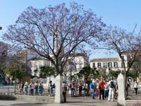 Plaza de la Merced-Malaga