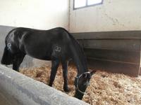 Jerez de la Frontera-Bodega Real Tesoro