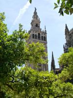 Sevilla-Giralda
