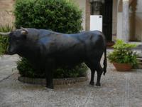 Stier am Platza Maimonides Cordoba