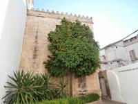 unterwegs in Cordoba