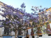 unterwegs im Judios Cordoba