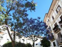 unterwegs im Judios Cordoba