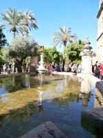 Mezquita-Cordoba
