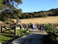 Abschied von der Finca Rural Los Pastores in Ronda 