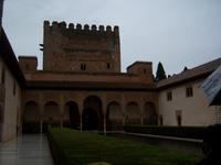 Albacin