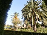 Alcazaba Granada in der Alhambra