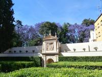 Alcazar-Sevilla