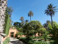 Alcazar-Sevilla