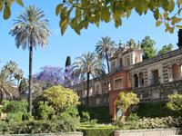 Alcazar-Sevilla