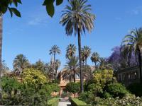 Alcazar-Sevilla