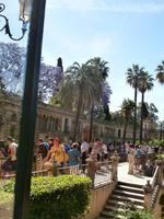 Alcazar-Sevilla
