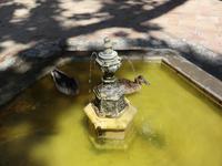 Alcazar