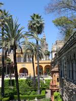Alcazar