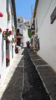 Alpujarra16