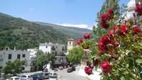 Alpujarra27