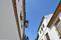 Andalusien (169)