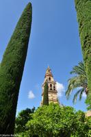 Andalusien (174)