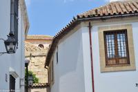 Andalusien (239)