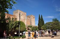 Andalusien (439)