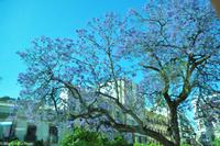 Andalusien (479)